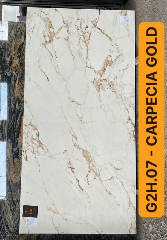 G2H.07.Carpecia Gold - 3200x1600x20